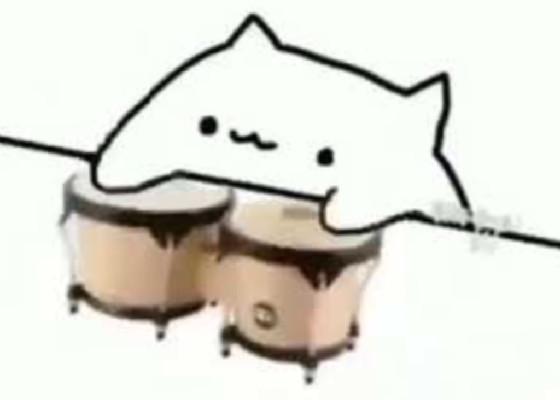 Bongo Cat  1 1