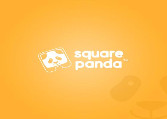 Square panda