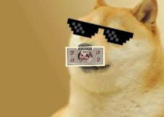 doge money spinner 1