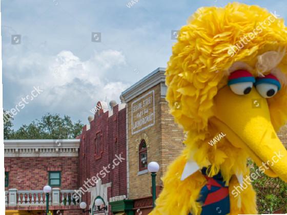 big bird goes AUGHHHHHH 1 1