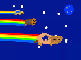 Nyan dog