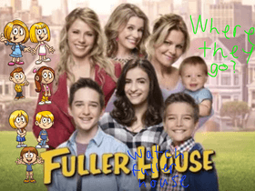 the fuller game