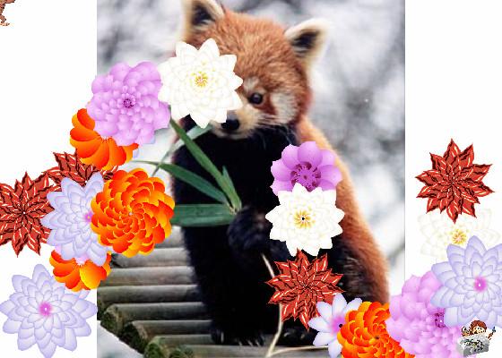 Flower panda 1