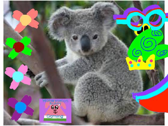 koala dress up upgraded 1