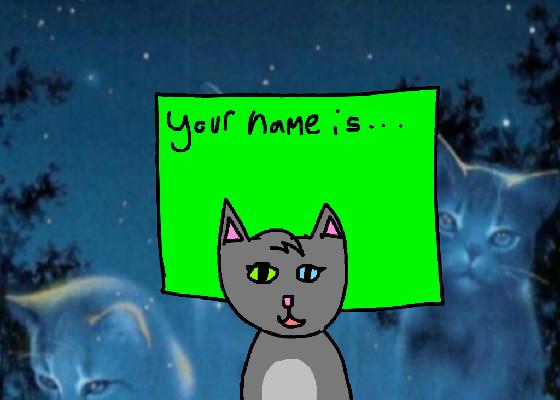 Warrior cat name quiz 1