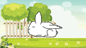 Flying Bunny