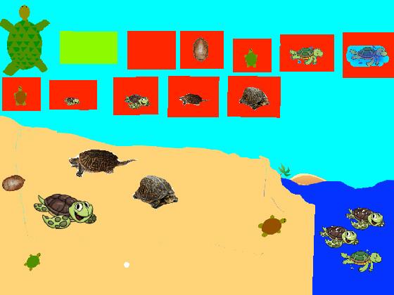 Turtle Clicker!  2