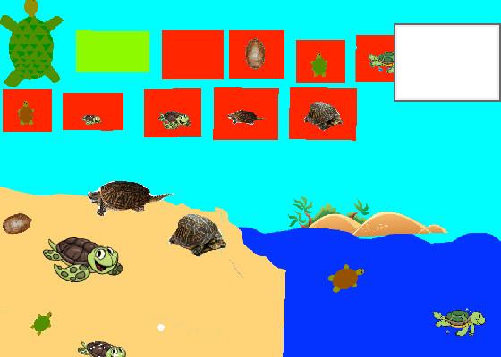 Turtle Clicker!  1