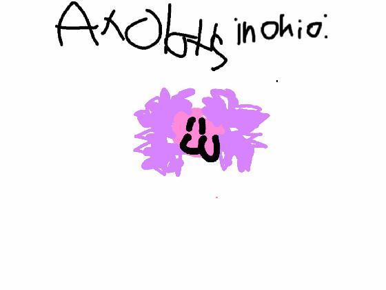 axolotls in ohio