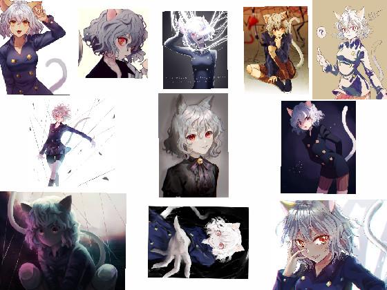 Neferpitou 🐱