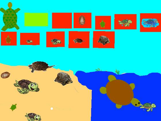 Turtle Clicker!  1