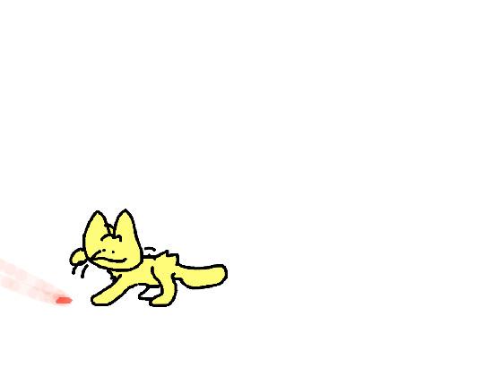 sad cat dance