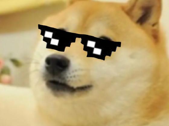 When the doge got cool