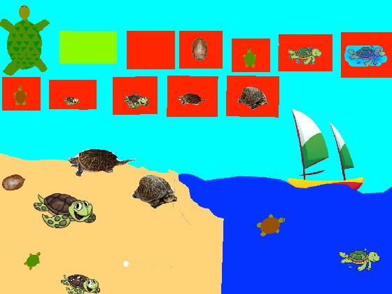 Turtle Clicker! 1