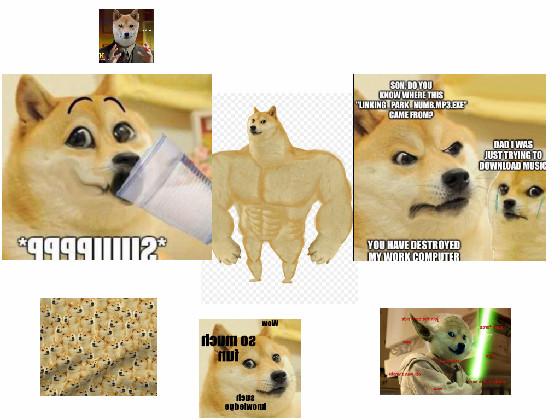 Doge memes 