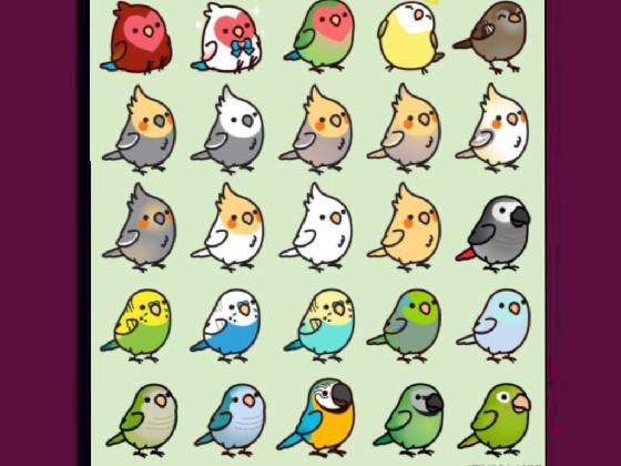 cute birds 1