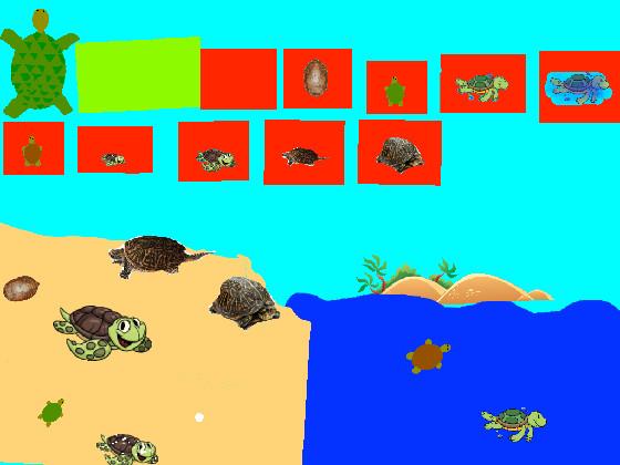 Turtle Clicker!  1