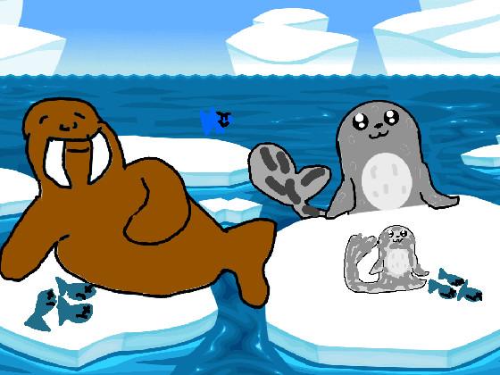 Seals and Walrus 1