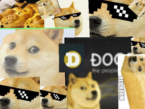 doge showdown