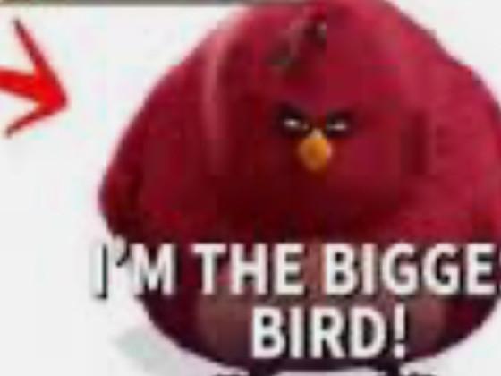 biggest bird 