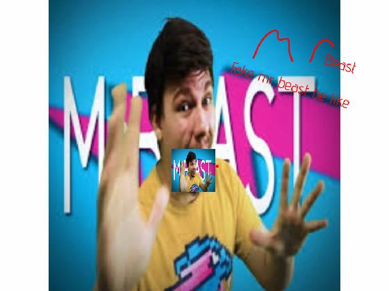 Fake Mrbeast be like 1