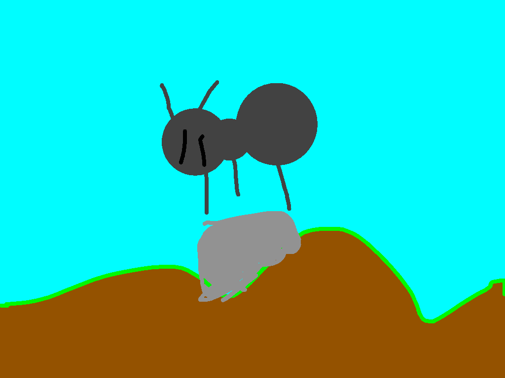 ant 