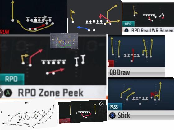 NFL playbook