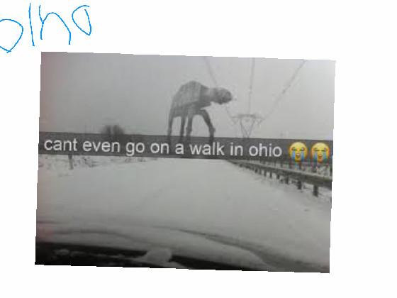 OHIO MEMES funny💀😂 1 1