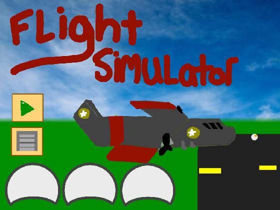 Flight Simulator 1