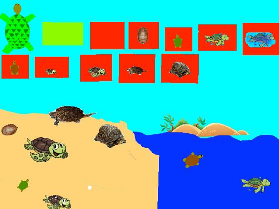 Turtle Clicker!  1