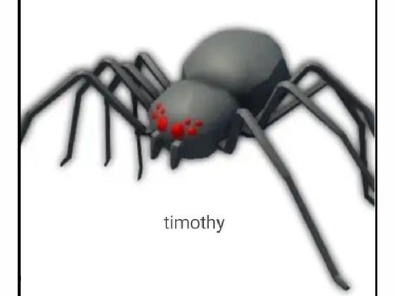 roblox doors Timothy be like