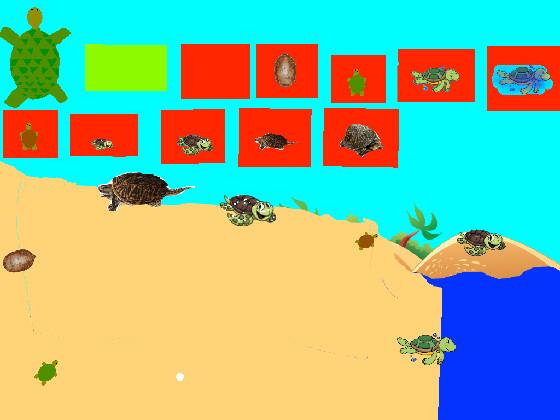 Turtle Clicker!  1