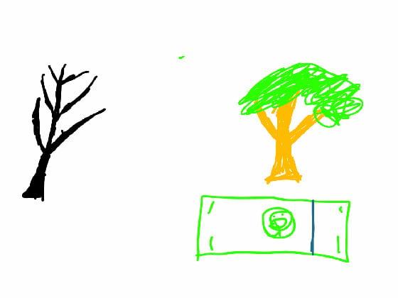 tree money