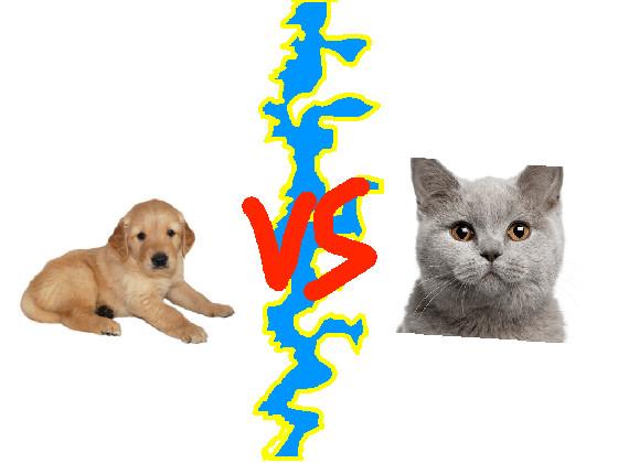 Dogs vs Cats 1 1 1