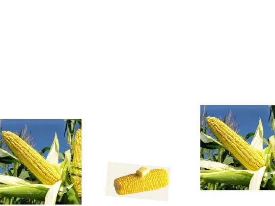 corn is so corny