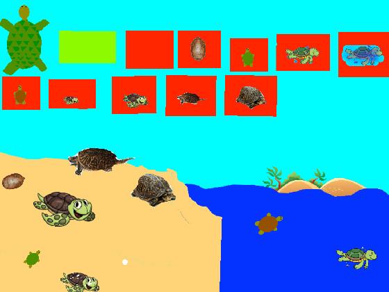 Turtle Clicker!  2