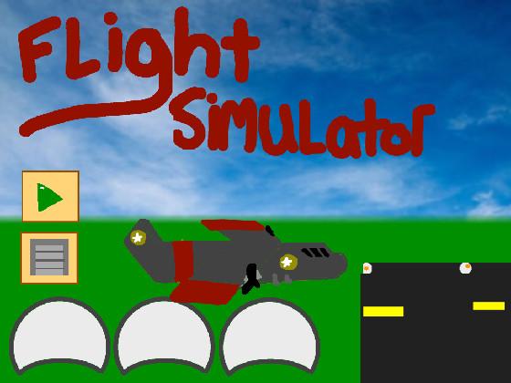 Flight Simulator 1