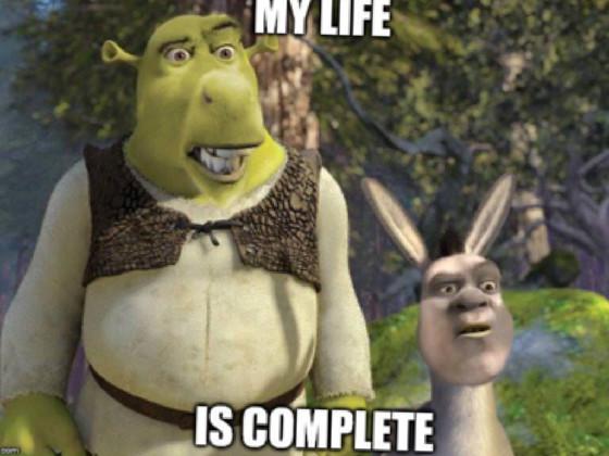 Shrek memes 2 1