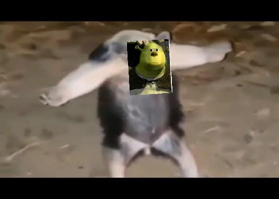 Shrek All Star 1 1 1