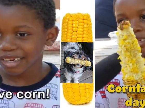 iT’S corn 462