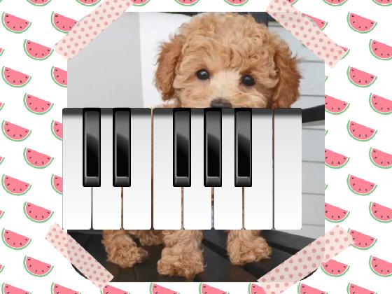 welcome to puppie piano