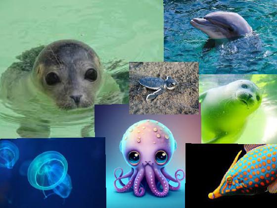 Sea Creatures 