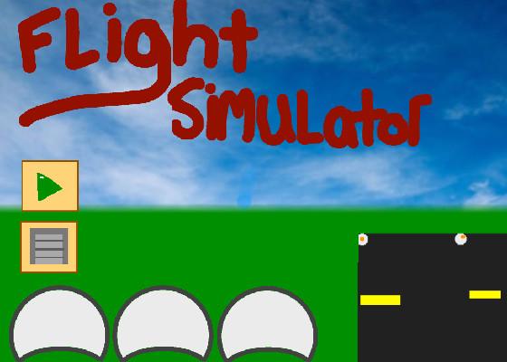 Flight Simulator 1