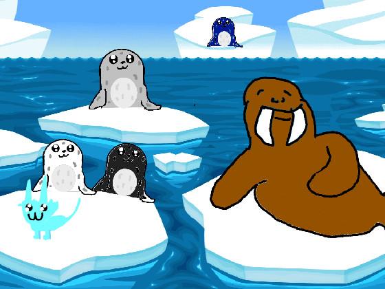 Seals and Walrus 1