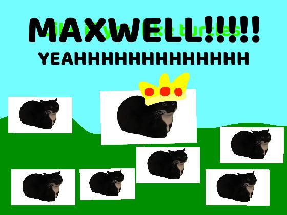 MAXWELL