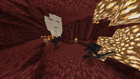 Nether Invasion