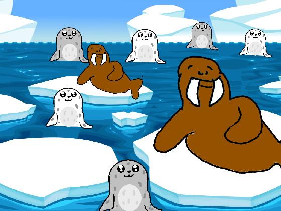 Seals and Walrus Ok