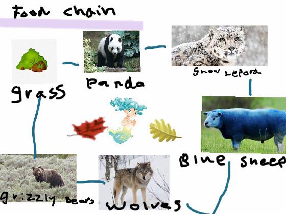 food chain