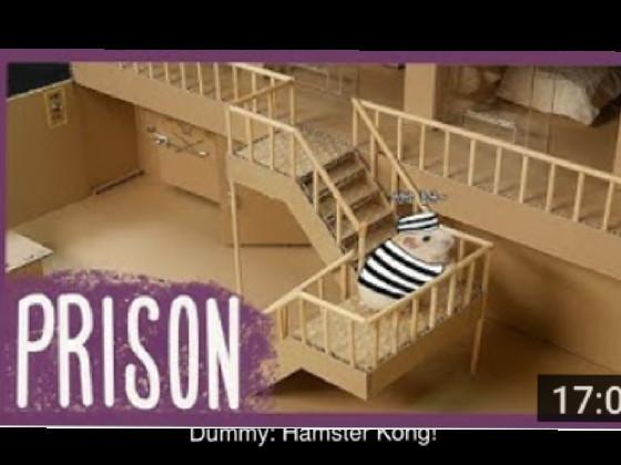 Hamster Prison Break - copy 1