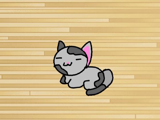 cat dance #2